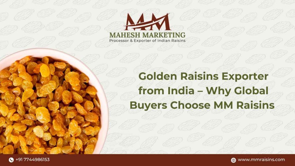 Golden Raisins Exporter from India – Why Global Buyers Choose MM Raisins