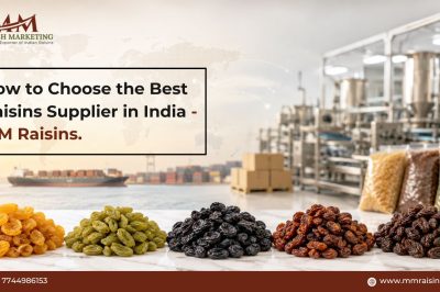 How to Choose the Best Raisins Supplier in India | MM Raisins