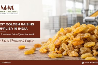 Best Golden Raisins Supplier in India – Bulk & Wholesale Golden Raisins | MM Raisins